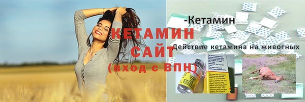 jwh Новозыбков