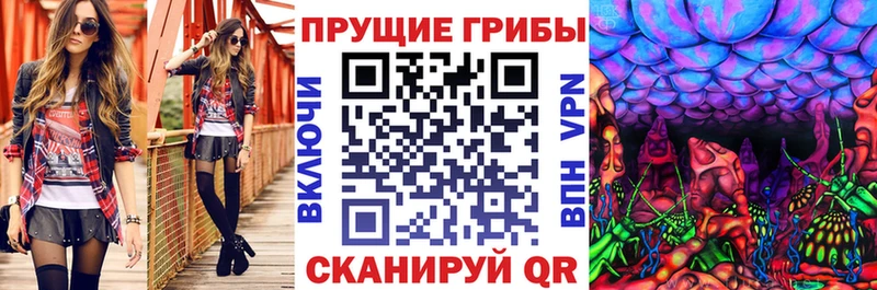 Псилоцибиновые грибы Magic Shrooms  где можно купить   KRAKEN онион  Ставрополь 