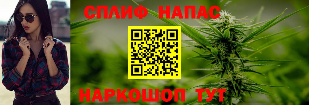 Марихуана SATIVA & INDICA  Бошки марихуана семена  Канабис Bruce Banner  Ставрополь  Вход с VPN 